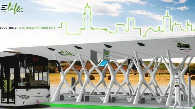 «Gli e-bus valorizzano la Maremma»