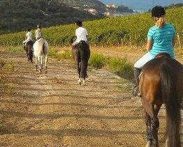 Campi solari a cavallo