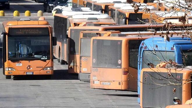 Lezioni gratis agli autisti beffati dopo l’annullamento dei corsi 
