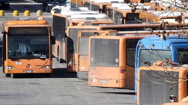 Lezioni gratis agli autisti beffati dopo l’annullamento dei corsi