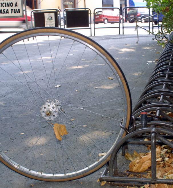 Ladri di biciclette scatenati Protestano anche i turisti