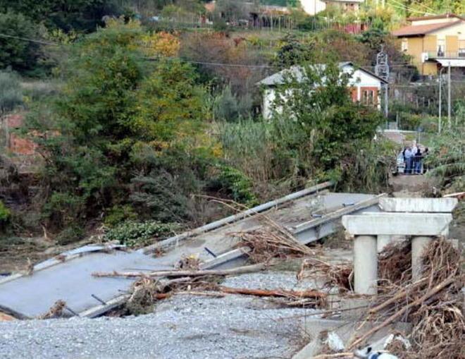«Lupi? Su Stadano è lingua biforcuta» 