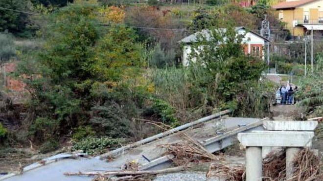 «Lupi? Su Stadano è lingua biforcuta»
