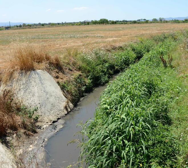 Maxi tassa per un fossato fantasma 