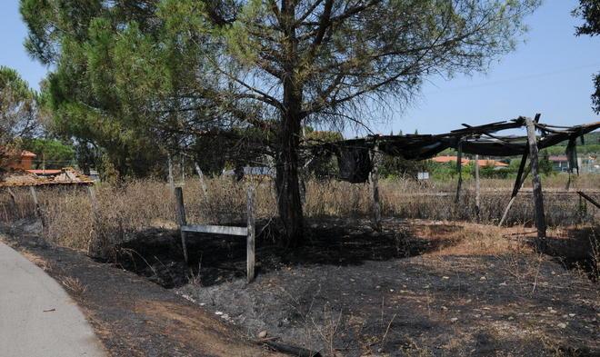 Fiamme vicino all’agriturismo 