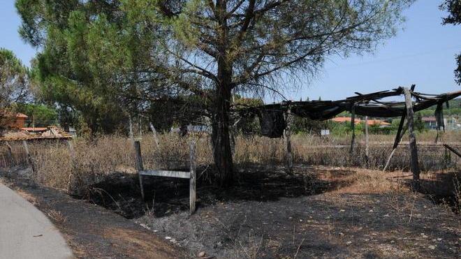 Fiamme vicino all’agriturismo