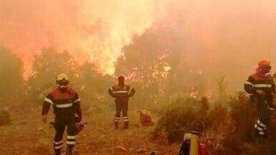 Gli incendi devastano la Sardegna, soccorsi in ritardo 
