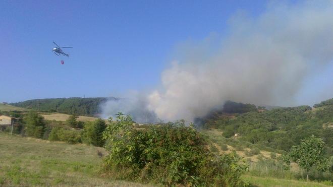 Bosco in fiamme a Riparbella 