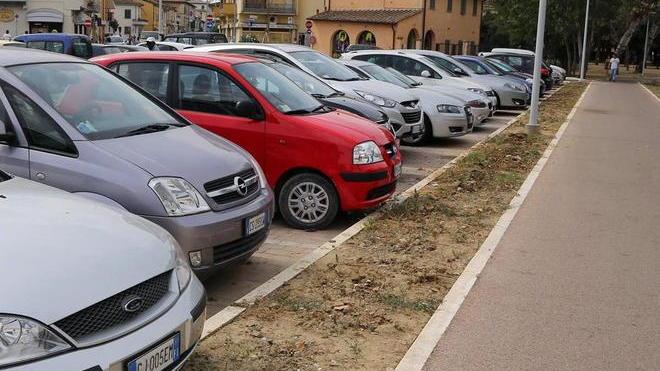 Tolte le ottanta piante seccate