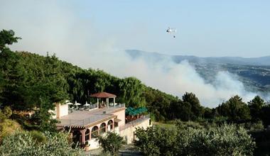 Incendio a Riparbella, distrutto un bosco: sospetta origine dolosa 