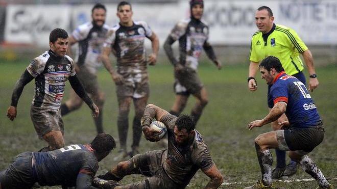 I Cavalieri smentiscono la rinuncia alla Amlin Challenge Cup