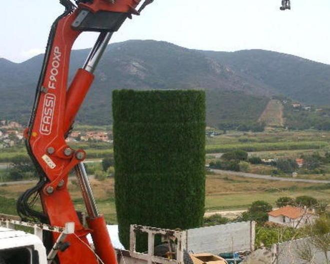 Sale la protesta contro l’antenna mascherata da cipresso di plastica 