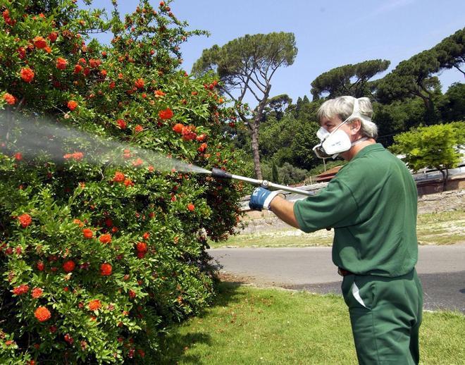 In coma per una puntura d’insetto 