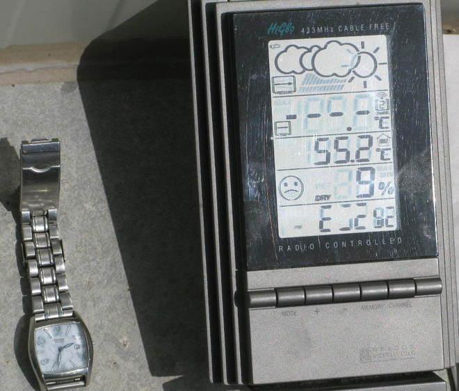 «Troppo caldo al nuovo canile» 