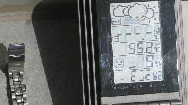 «Troppo caldo al nuovo canile»