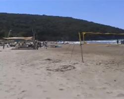 Volley e ombrelloni: che brutte sorprese sulla spiaggia dei sogni 