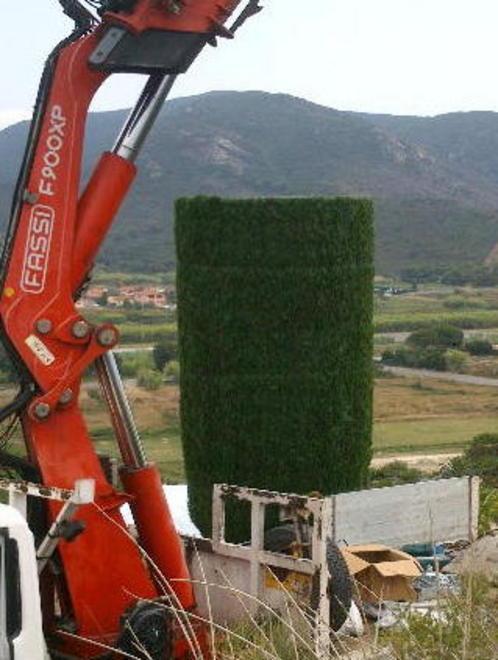 «Giù gli alberi veri, in piedi il cipresso finto» 
