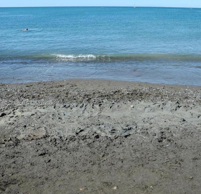 Argilla e fango alle Gorette Pacini: «Solo cose naturali» 