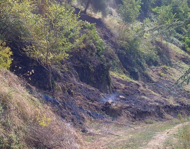 Fiamme a Seggiano il sindaco le spegne 