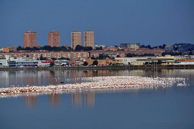 Gli ambientalisti al Governo: «Impugnate la legge sugli usi civici» 