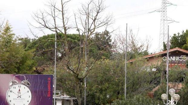 Stop del Comune al party in Canniccia
