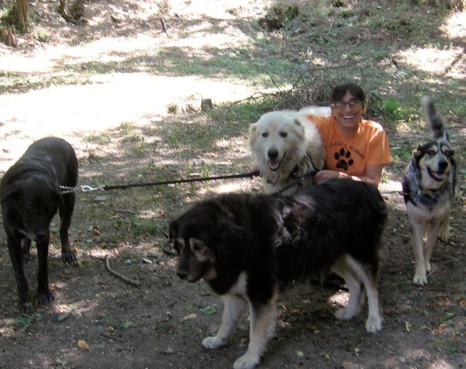 Le adozioni del rifugio - un cane per amico (3)