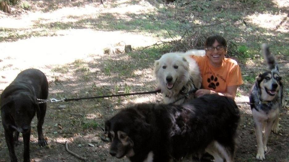 Le adozioni del rifugio - un cane per amico (3)