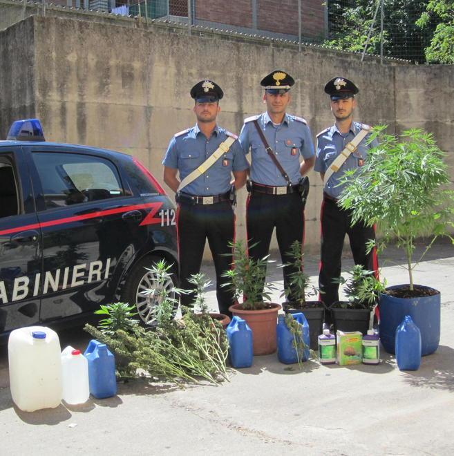 Lo spacciatore dal pollice verde: arrestato nell’orto