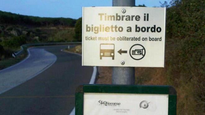 Il suo cane è troppo grosso, l’autista del bus non la fa salire
