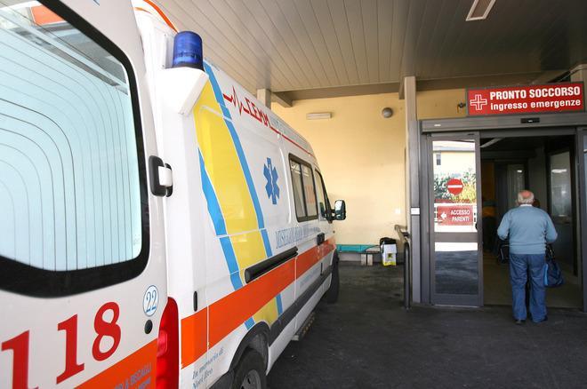Rischia la morte per un calabrone 