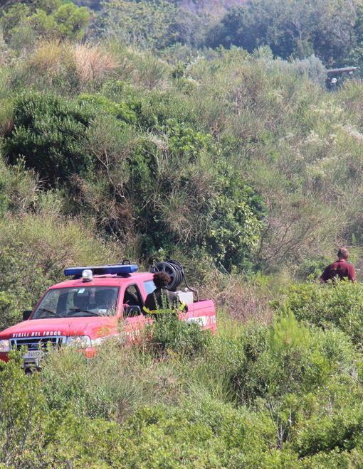 Incendio nel bosco minaccia le abitazioni 