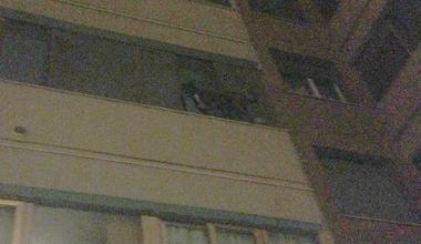 Cane rischia di cadere dal balcone: salvato dai vigili del fuoco 