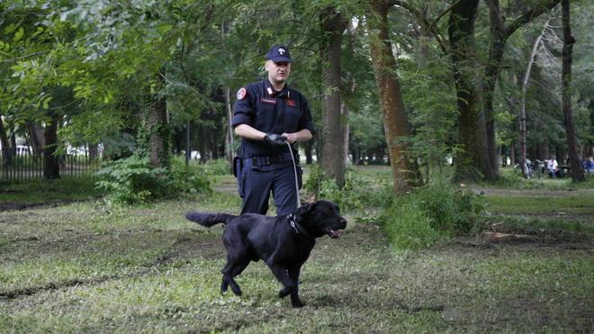 Cocaina sotterrata in pineta: intervento dei carabinieri in Darsena