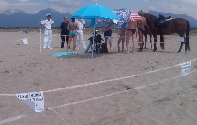 Maneggio abusivo sulla spiaggia libera della Lecciona 