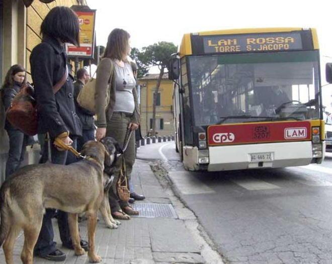 Cacciata dall’autobus perché ha il cane 
