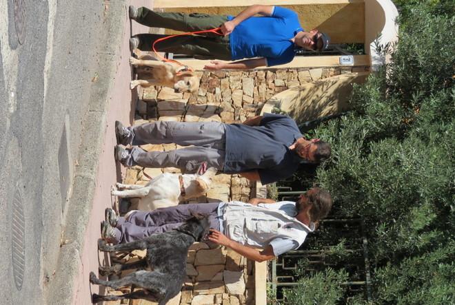 Prof sparita, i cani molecolari se ne vanno