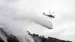 Incendio sul monte sopra Asciano: distrutto un ettaro di bosco