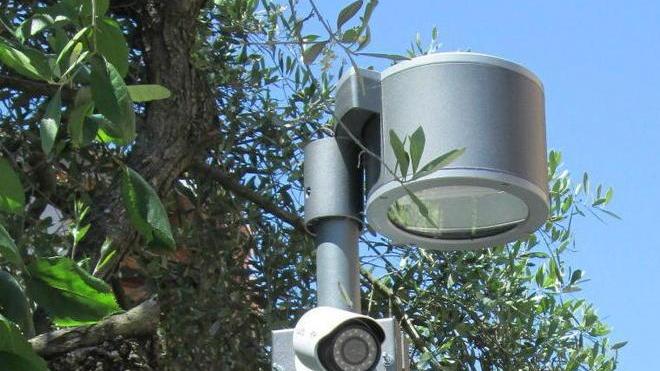 San Miniato, quattro telecamere in funzione in vicolo Borghizzi