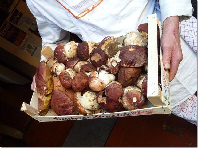Sagra del fungo porcino al rifugio dell’Ovovia 