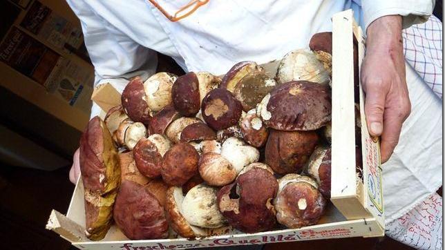 Sagra del fungo porcino al rifugio dell’Ovovia