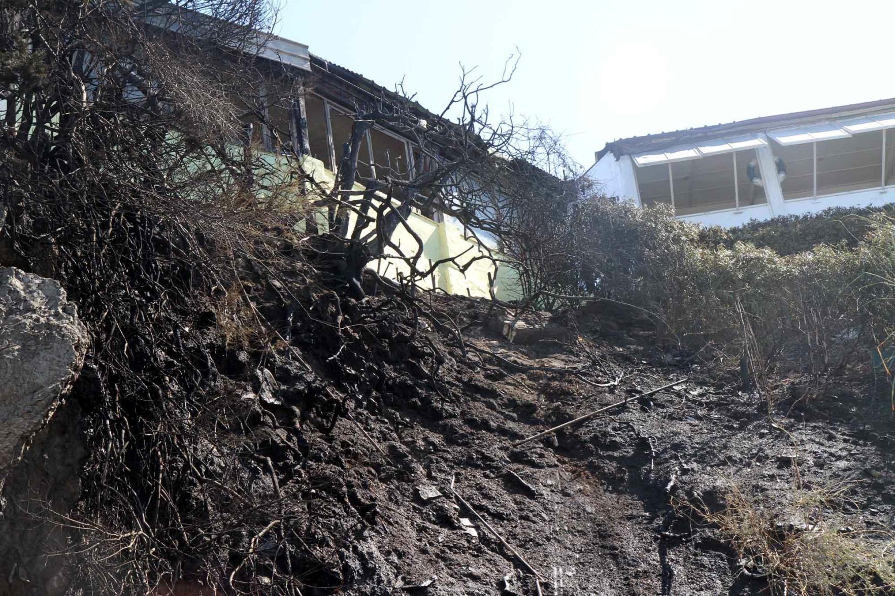 Incendio di sterpaglie sul lungomare di Antignano, danni al ristorante Novelli 