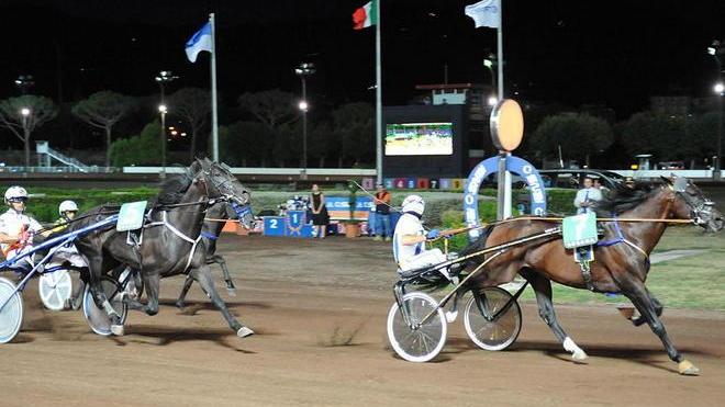 Mack Grace nella storia dell’ippica