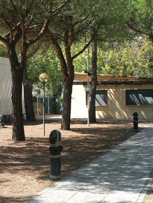«Piano acustico, servono deroghe» 