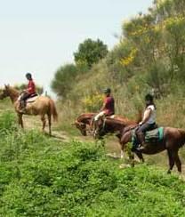 L’Amiata a cavallo, ma al chiaro di luna