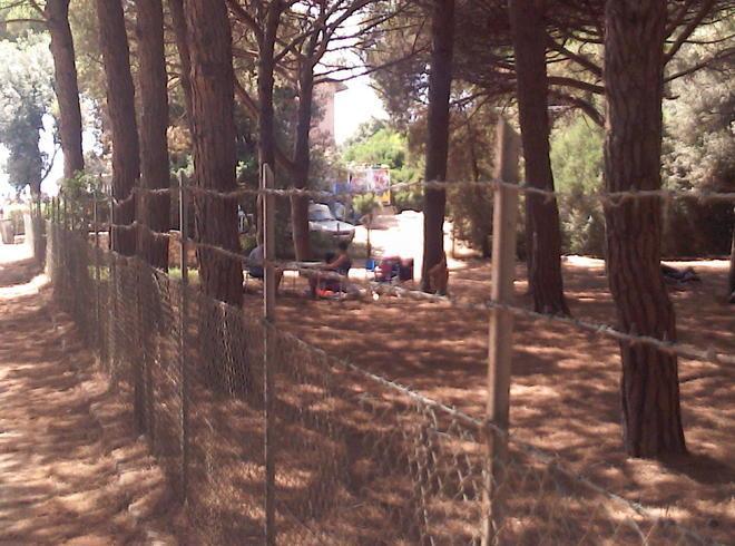 Filo spinato ad altezza di bambino 