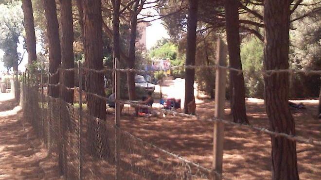 Filo spinato ad altezza di bambino