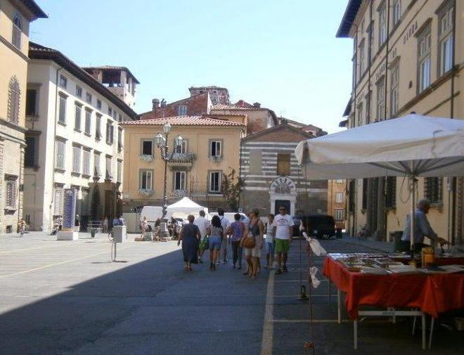 Piccioni all’assalto dei tavolini protestano i gestori dei locali 
