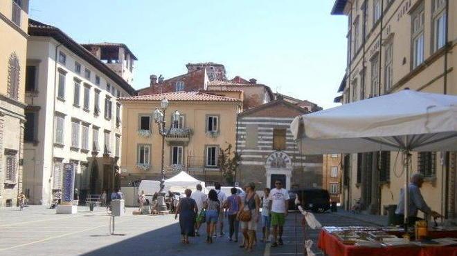 Piccioni all’assalto dei tavolini protestano i gestori dei locali