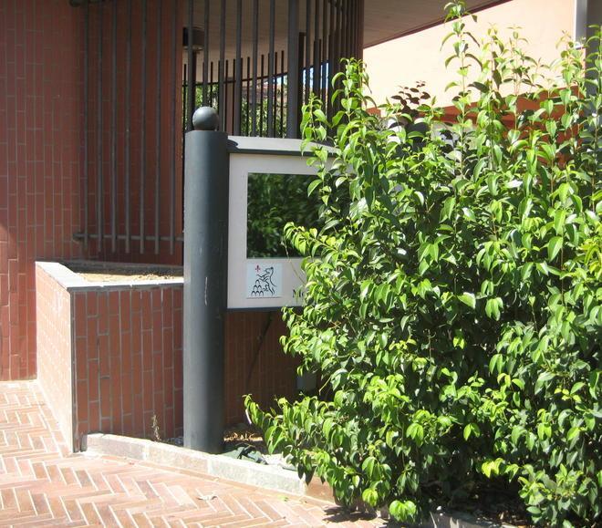 Pannelli nascosti dal verde 