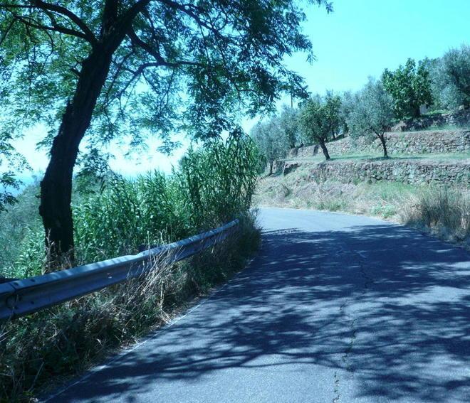 Tra buche e cespugli ecco la strada dei pericoli 
